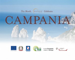 Campania-2014_escalator_Gator_60x48_05